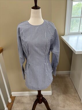C&M camilla & marc Simone Blue White Stripe Pleat Waist Shirt Size 4